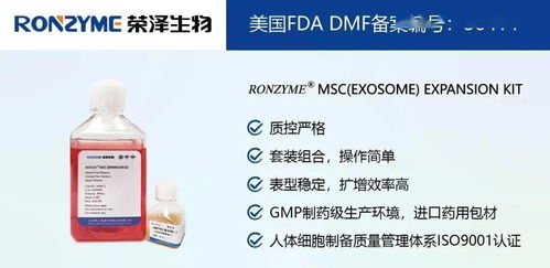 榮澤集團 市場調查成就斐然，穩健前行再譜新篇